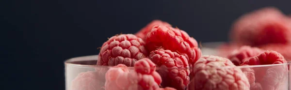 Panoramic shot of fresh raspberries in glasses isolated on black — Stock Photo