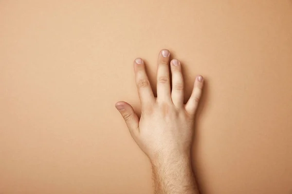 Vista parcial de la mano masculina sobre fondo beige con espacio de copia - foto de stock