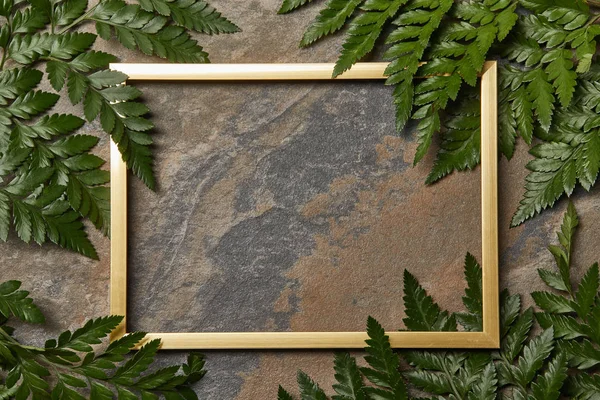 Empty golden frame on stone background with copy space and green fern leaves — Stock Photo