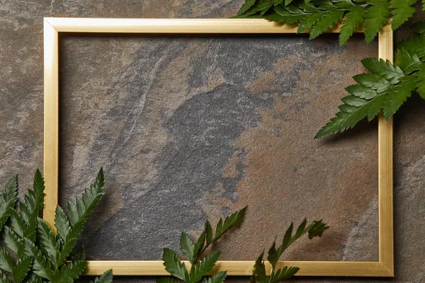 Empty golden frame on stone background with copy space and fern leaves — Stock Photo