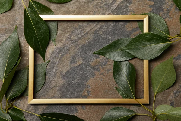 Empty golden frame on stone background with copy space and green leaves — Stock Photo