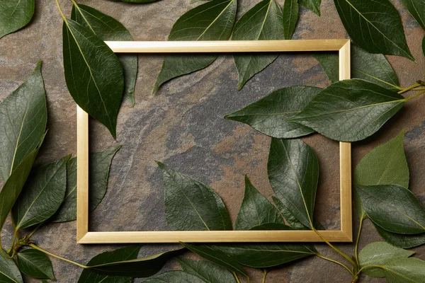 Top view of empty golden frame on stone background with copy space and green leaves — Stock Photo