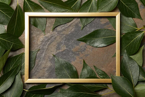 Top view of empty golden frame on stone background with copy space and green fresh leaves — Stock Photo