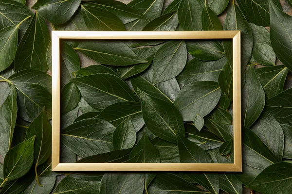 Вид зверху на золоту рамку на фоні зеленого листя з пробілом для копіювання — стокове фото