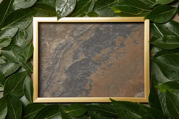 Empty golden frame on stone background with copy space and wet green leaves — Stock Photo