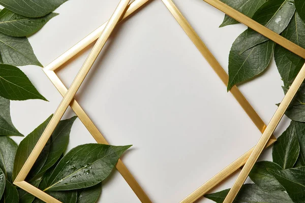 Empty golden frames on white background with copy space and green wet leaves — Stock Photo