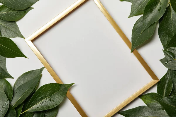 Empty golden frame with copy space and green leaves isolated on white — Stock Photo
