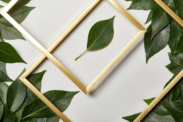 Empty golden frames on white background with copy space and leaves — Stock Photo