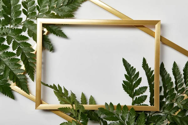 Top view of golden frames on white background with copy space and fern green leaves — Stock Photo