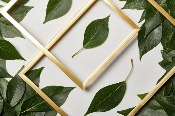 Top view of golden frames on white background with green leaves — Stock Photo