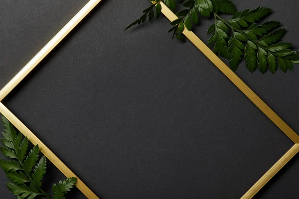 Draufsicht auf leeren goldenen Rahmen auf schwarzem Hintergrund mit Kopierraum und Farnblättern — Stockfoto