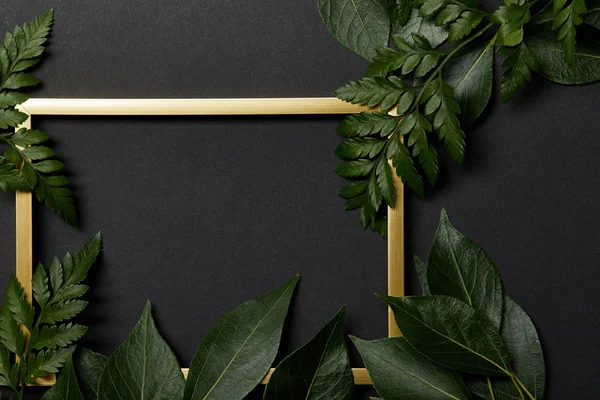 Верхний вид пустой золотой рамки на черном фоне с копировальным пространством и зелеными листьями папоротника — стоковое фото
