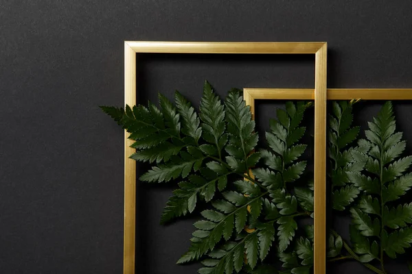 Top view of golden frames on black background with copy space and green fern leaves — Stock Photo