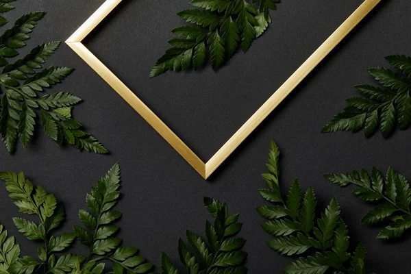 Top view of golden frame on black background with fern leaves — Stock Photo