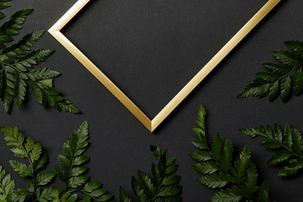 Top view of empty golden frame on black background with green fern leaves — Stock Photo