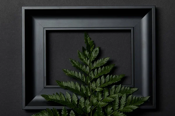 Top view of empty black frame on black background with copy space and green fern leaf — Stock Photo