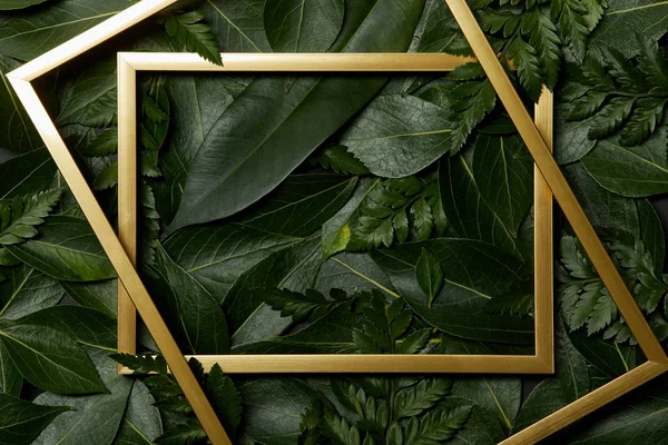 Vue supérieure des cadres dorés sur fond de feuilles vertes — Photo de stock