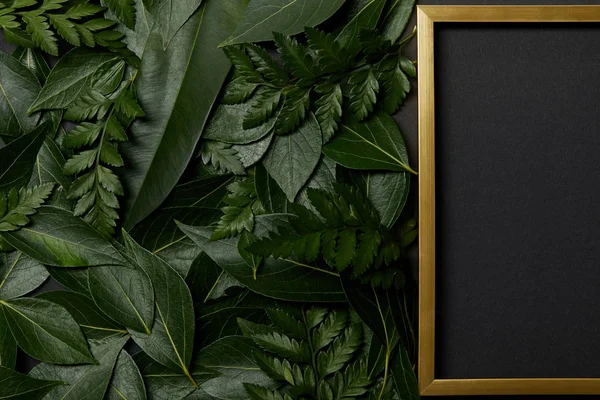 Top view of empty golden frame near green leaves on black background with copy space — Stock Photo