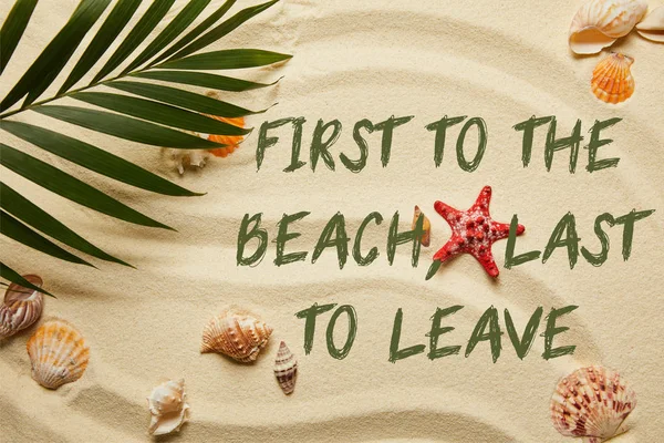 Top view of green palm leaf near red starfish and seashells on sandy beach with first to the beach, last to leave illustration — Stock Photo