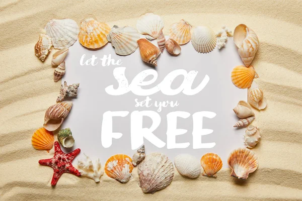 Frame of seashells around let the sea set you free lettering on sandy beach — Stock Photo