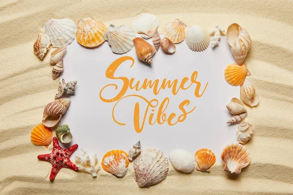 Frame of seashells near placard with summer vibes illustration on sandy beach — Stock Photo