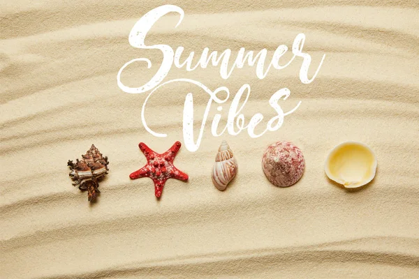 Flat lay of seashells and red starfish on sandy beach in summertime with summer vibes illustration — Stock Photo