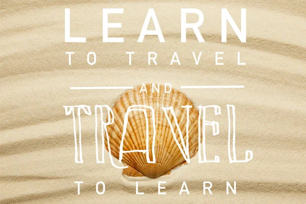 Concha de mar naranja en la playa de arena curva en verano con aprender a viajar y viajar para aprender ilustración - foto de stock