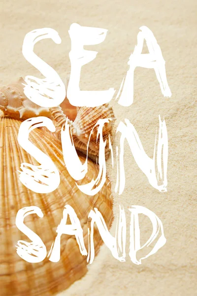 Enfoque selectivo de conchas marinas en la playa con arena dorada con mar, sol y arena ilustración - foto de stock