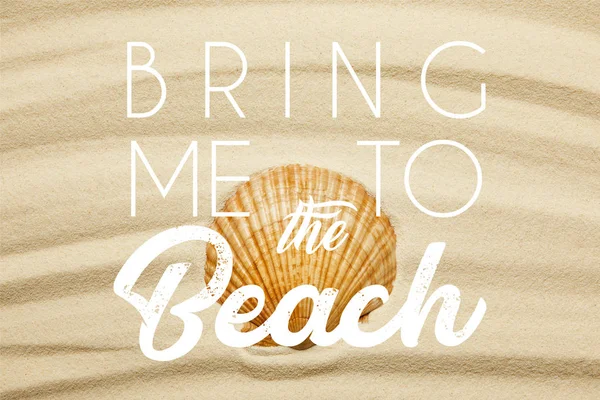 Orange seashell on curve sandy beach in summertime with bring me to the beach illustration — стоковое фото