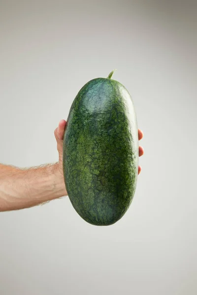 Abgeschnittene Ansicht eines Mannes mit reifer ganzer Wassermelone isoliert auf grau — Stockfoto