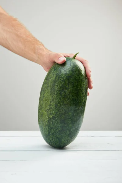 Cropped view of man holding ripe whole watermelon on wooden table isolated on grey — Stock Photo