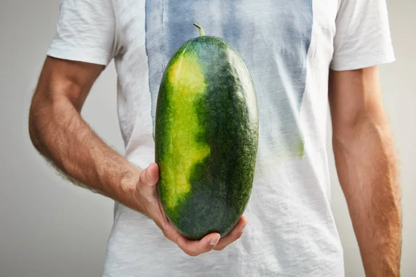 Partial view of man holding ripe whole watermelon isolated on grey — Stock Photo