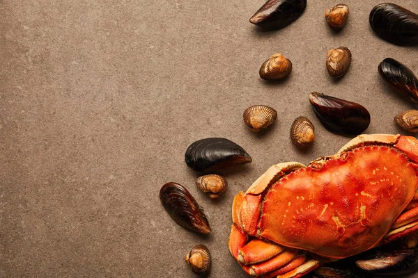 Vue de dessus des coques et des moules éparses près du crabe cru sur la surface texturée — Photo de stock