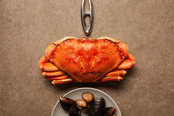 Plat avec craquelin de fruits de mer, crabe non cuit et assiette avec coques et moules sur la surface texturée — Photo de stock