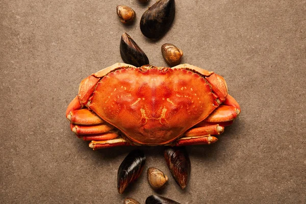 Pose plate avec crabe non cuit avec coquille solide et coques avec moules sur la surface texturée — Photo de stock