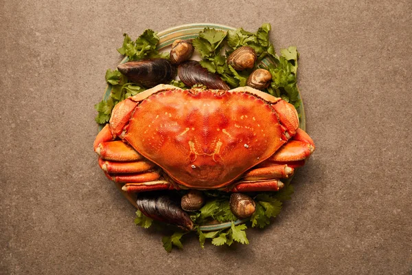 Top view of plate with greenery, raw crab, cockles and mussels on textured surface — Stock Photo