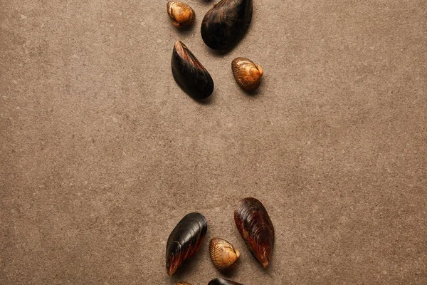 Flat lay with cockles and mussels on textured surface — Stock Photo