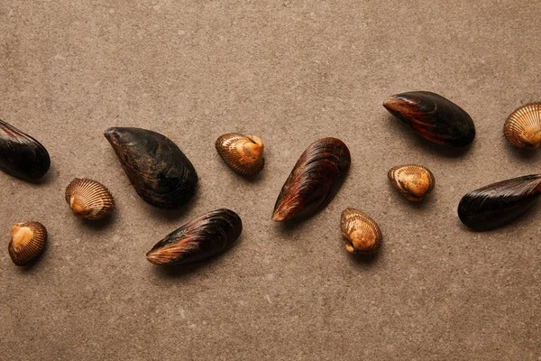 Pose plate avec des coques et des moules non cuites sur une surface texturée — Photo de stock