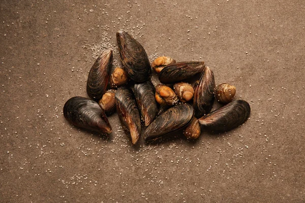 Vue de dessus des coques brutes et des moules avec du sable sur la surface texturée — Photo de stock