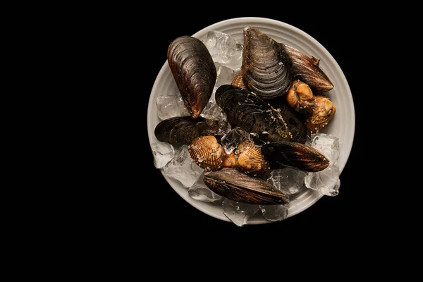 Draufsicht auf Herzmuscheln und Miesmuscheln mit Eiswürfeln auf weißem Teller isoliert auf schwarzem — Stockfoto