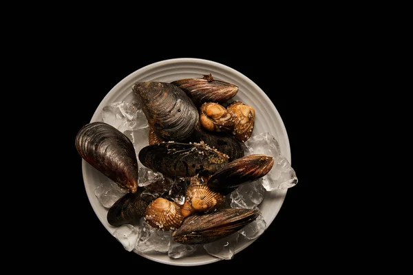 Vista superior de conchas congeladas não cozidas e mexilhões com cubos de gelo em placa branca isolada em preto — Fotografia de Stock