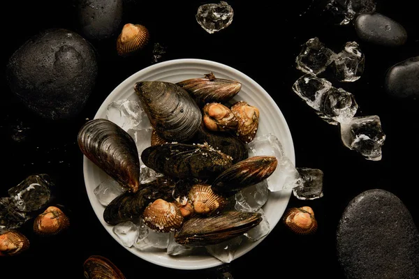 Vista superior de berberechos y mejillones congelados sin cocer en plato blanco cerca de cubos de hielo dispersos y piedras aisladas en negro - foto de stock