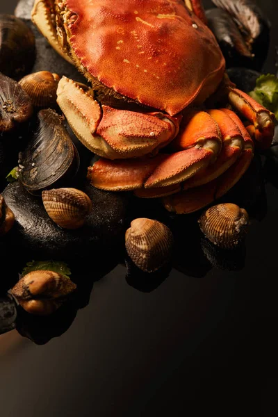 Close up view of uncooked crab, cockles and mussels on stones isolated on black — Stock Photo