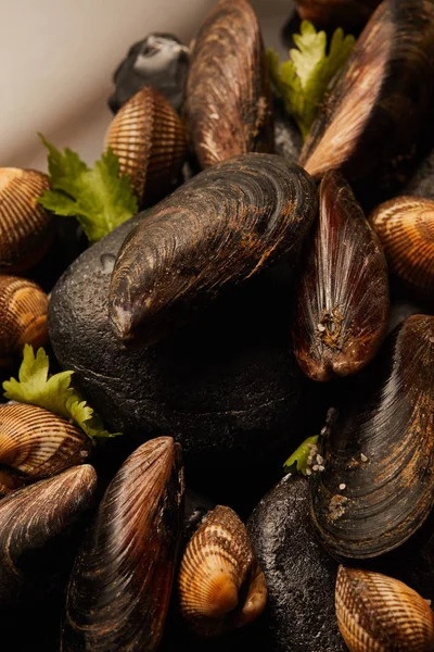 Close up view of uncooked cockles and mussels with greenery and sand on stones isolated on black — Stock Photo