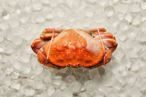 Top view of frozen raw tied up crab on ice cubes on white — Stock Photo