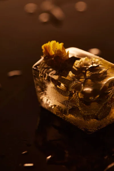 Прозрачный кубик льда с замерзшим цветком на желтом подсветке — стоковое фото