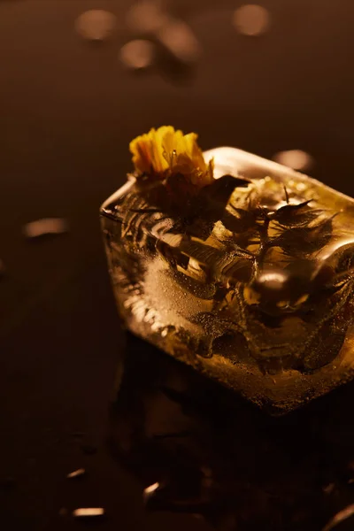 Cubo de hielo transparente con flor congelada sobre fondo amarillo iluminado - foto de stock