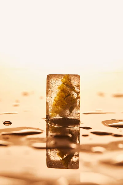 Transparent ice cube with frozen flower on yellow illuminated background — Stock Photo