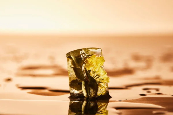 Glaçon transparent avec fleur gelée sur surface mouillée sur fond éclairé jaune — Photo de stock