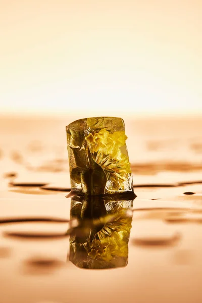 Cubo de hielo puro con flor congelada sobre fondo amarillo iluminado - foto de stock